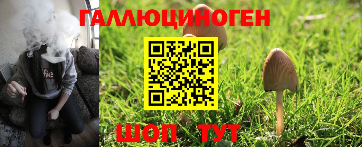 Галлюциногенные грибы мицелий Великий Новгород